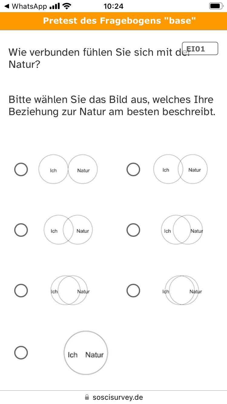Screenshot Smartphone