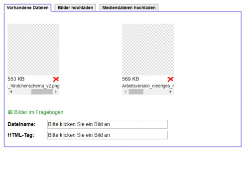 Bilder werden nicht angezeigt SoSci Survey Online Support